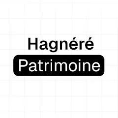 hagnerepatrimoine