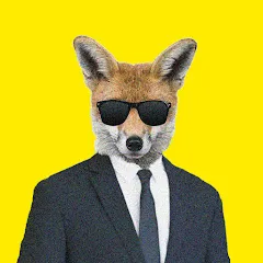 hipppstar