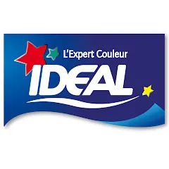 idealteinture4653