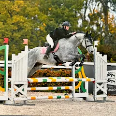 jaguar_stables