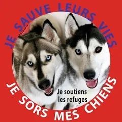 jean-philippemaratray-dlf