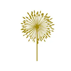 la-simplcite-detre-soi
