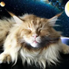 lacaveauchat