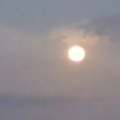 lafillealayourte