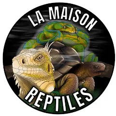 lamaisonreptiles