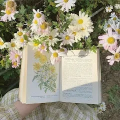 lapoesiecestmavie