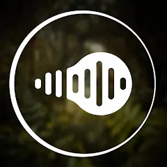 lartdesbruitsdryaderecords