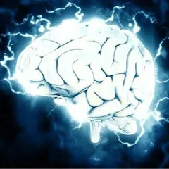 Avatar de Le savoir est une Force 🧠♟️