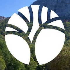 Avatar de Le Comptoir