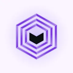 lecubenetwork
