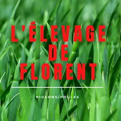 lelevagedeflorent3379