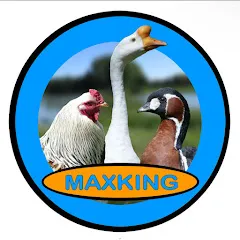 lelevagedemaxking5683