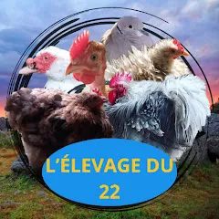 lelevagedu22