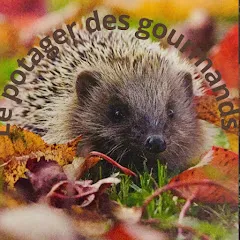 lepotagerdesgourmands