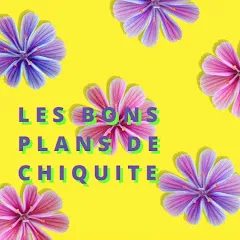 lesbonsplansdechiquite-ke1fd