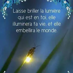 lesluciolessurlatable