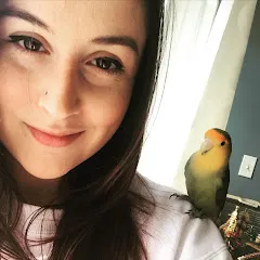 letsmeetcharlotte