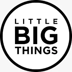 Avatar de LITTLE BIG THINGS