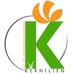 lyceedekernilien