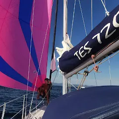 micheljambeau2765