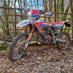 moiquentin4814