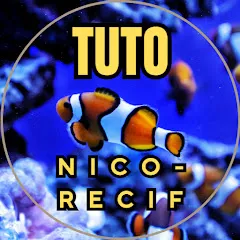 nico-recif