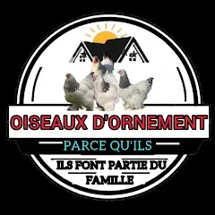 oiseauxdornement