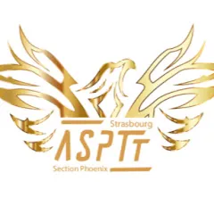 phoenixtaekwondotutoriel