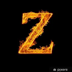 playerzaid