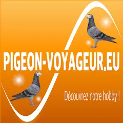 portaildelacolombophilie