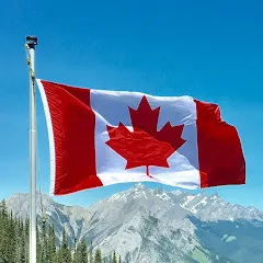 Avatar de Projet d'immigration