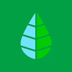 Avatar de Projetecolo