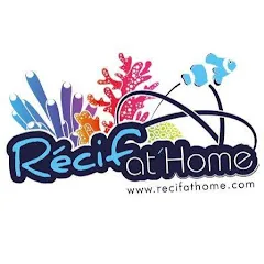recifathome2011
