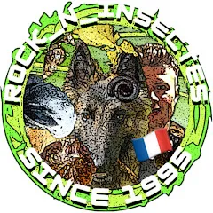 rock_n_insectesyt