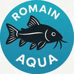 romainaqua