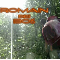 romaindesbois
