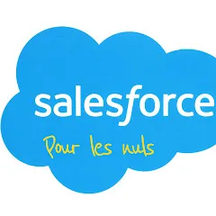 salesforcepourlesnuls