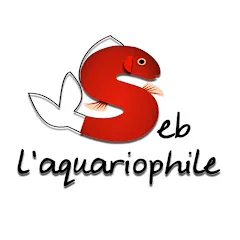 seblaquariophile