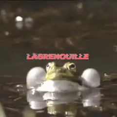 Avatar de Sproutch Lagrenouille (Rock'n'Science)