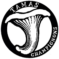 tamaschampignons