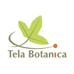 Avatar de Tela Botanica