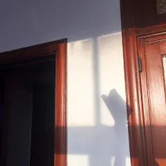 thae_yt