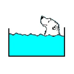 unoursdanslaquarium