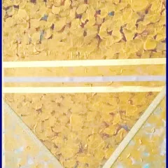 virginienoelartisteauteure70
