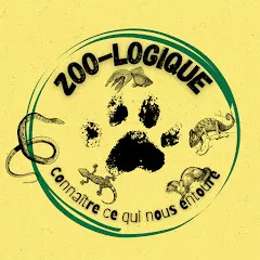 zoo-logiqueeee
