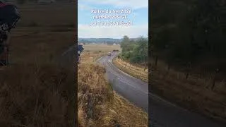Miniature : Rallye du Sel 2026 Mistake 205 GTI #rally