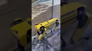 Miniature : J'ai vu des robots assez étranges...🤖