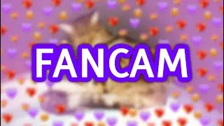 Miniature : FANCAM DE MON CHACHOU D'AMOUR - Jour 7