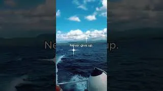 Miniature : Never give up