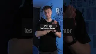 Miniature : Pourquoi avons-nous aussi peur des requins alors que les vaches tuent plus de personnes ?